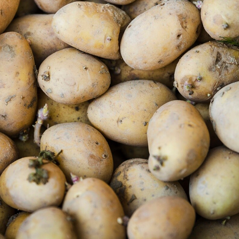 Pommes de terre